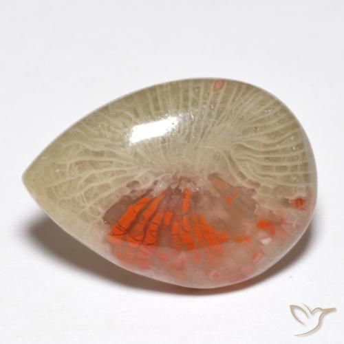 Corail Multicolore naturelle En forme de poire, 10.46 ct, Translucide
