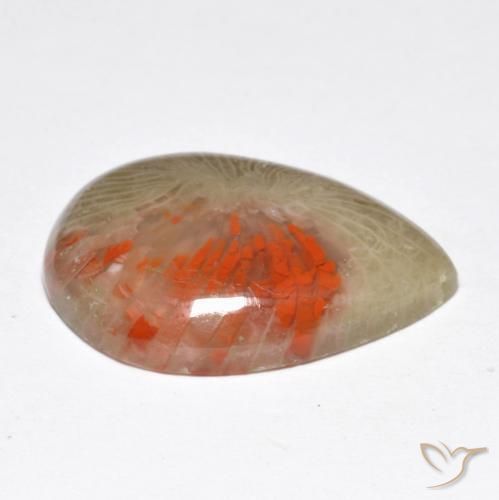 Corail Multicolore naturelle En forme de poire, 10.46 ct, Translucide