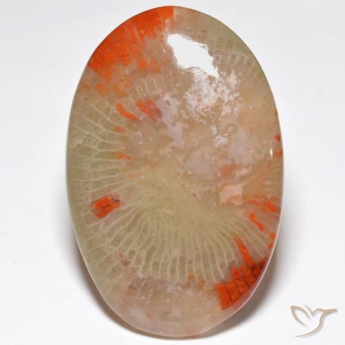 27.91ct Naturel Multicolore Corail, ovale, Translucide
