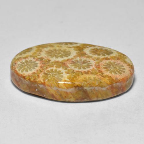 Corail multicolore naturelle coupe ovale, 15,10 ct, opaque