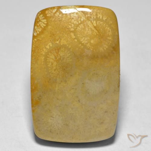 17.79ct Naturel Multicolore corail, Coussin, Opaque