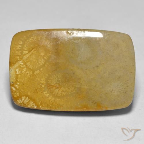 Corail Multicolore naturelle Coussin, 17.79 ct, Opaque