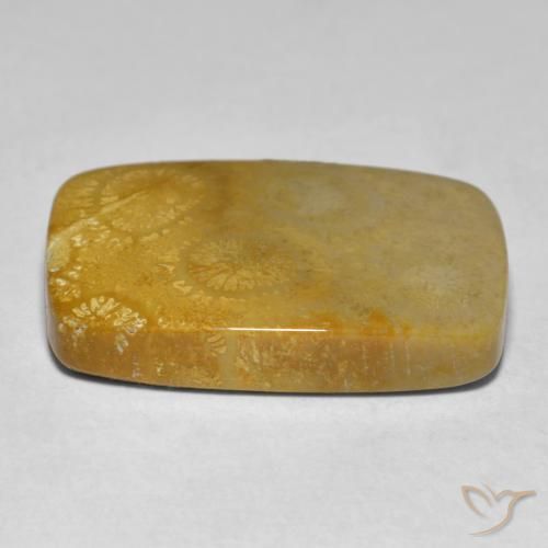 Corail Multicolore naturelle Coussin, 17.79 ct, Opaque