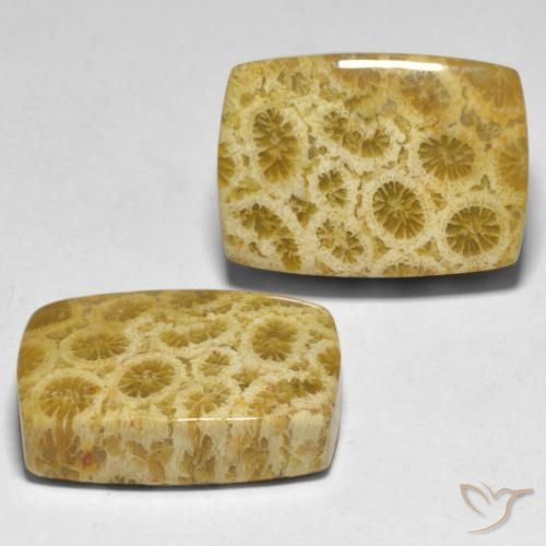 Shop natural 30.59ct Multicolore Corail gems, Coussin, from Indonésie at GemSelect. In stock, global shipping!