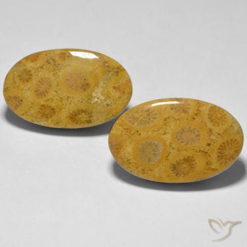 27.44ctw Naturel Multicolore Corail, ovale, Opaque