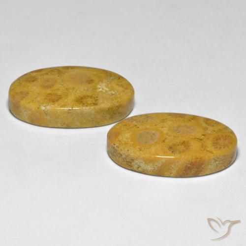 Shop natural 27.44ct Multicolore Corail gems, ovale, from Indonésie at GemSelect. In stock, global shipping!
