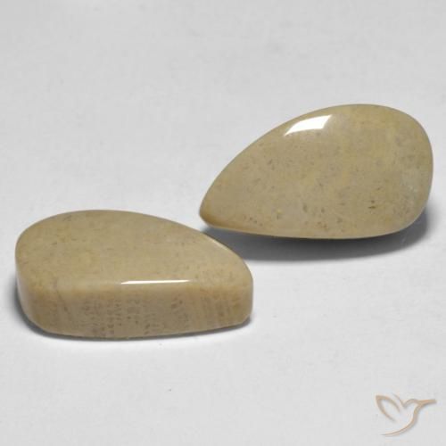 Shop natural 16.75ct Multicolore Corail gems, Fantaisie, from Indonésie at GemSelect. In stock, global shipping!