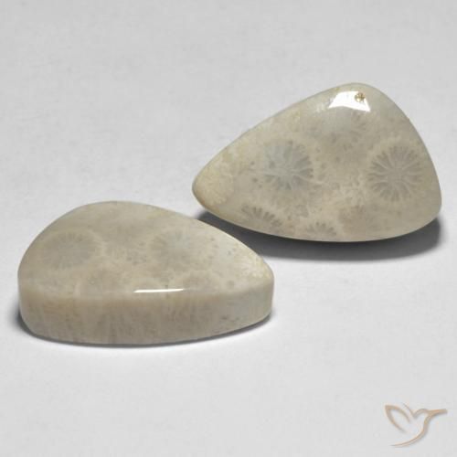 Shop natural 21.04ct Multicolore Corail gems, Fantaisie, from Indonésie at GemSelect. In stock, global shipping!