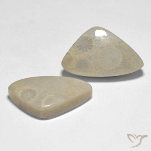Shop natural 19.10ct Multicolore Corail gems, Fantaisie, from Indonésie at GemSelect. In stock, global shipping!
