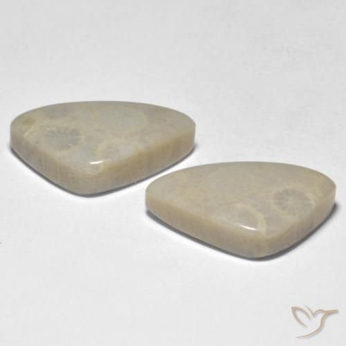 Shop natural 19.10ct Multicolore Corail gems, Fantaisie, from Indonésie at GemSelect. In stock, global shipping!