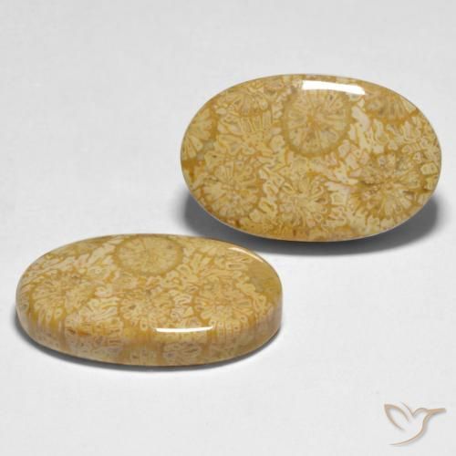 Shop natural 24.74ct Multicolore Corail gems, ovale, from Indonésie at GemSelect. In stock, global shipping!