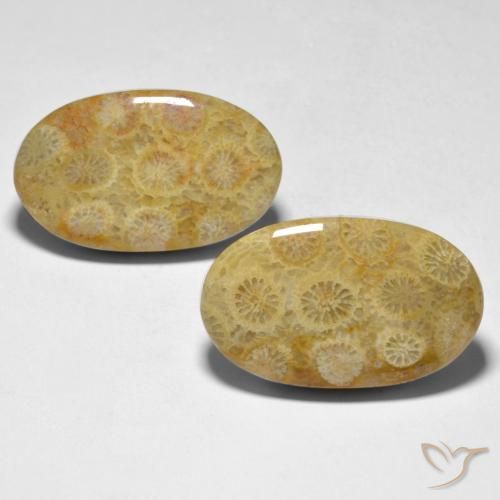 28.98ctw Naturel Multicolore corail, ovale, Opaque