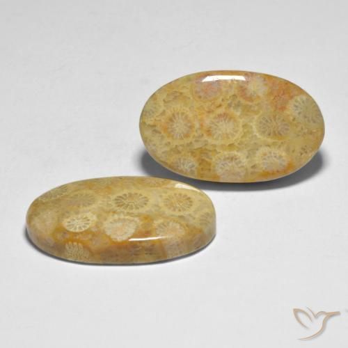 Shop natural 28.98ct Multicolore Corail gems, ovale, from Indonésie at GemSelect. In stock, global shipping!