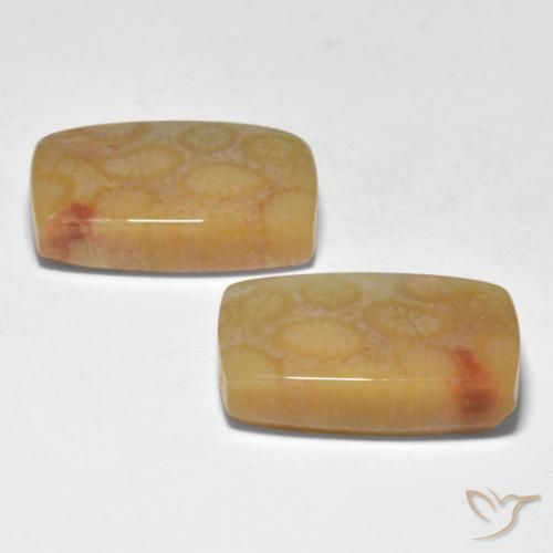 Shop natural 23.35ct Multicolore Corail gems, Coussin, from Indonésie at GemSelect. In stock, global shipping!