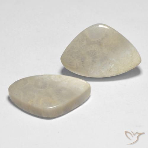 Shop natural 23.71ct Multicolore Corail gems, Fantaisie, from Indonésie at GemSelect. In stock, global shipping!
