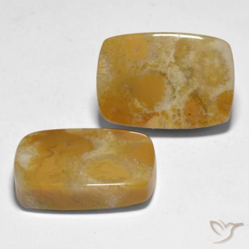 Shop natural 28.12ct Multicolore Corail gems, Coussin, from Indonésie at GemSelect. In stock, global shipping!