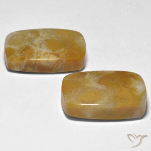 Shop natural 28.12ct Multicolore Corail gems, Coussin, from Indonésie at GemSelect. In stock, global shipping!