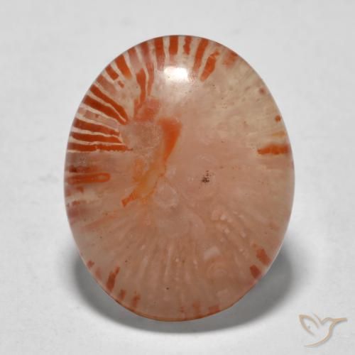 9.94ct Naturel Multicolore Corail, ovale, Translucide
