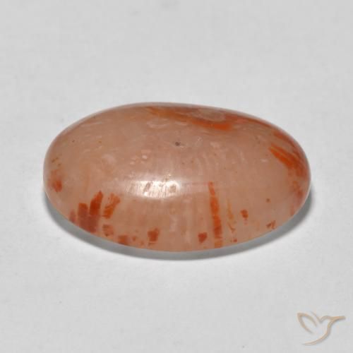 Corail Multicolore naturelle ovale, 9.94 ct, Translucide
