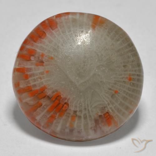 13.11ct Naturel Multicolore Corail, Tour, Translucide