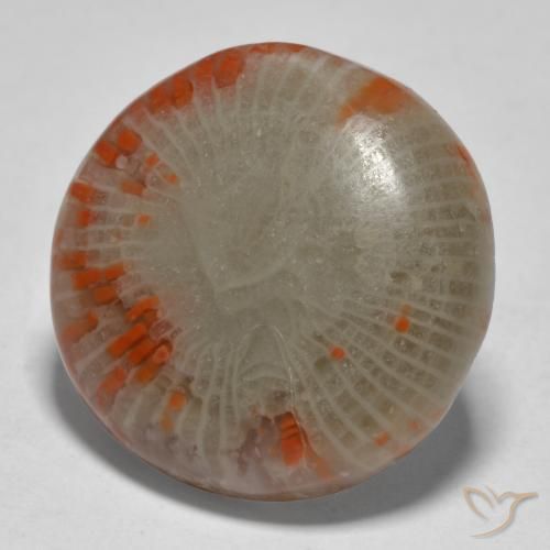 Corail Multicolore naturelle Tour, 13.11 ct, Translucide