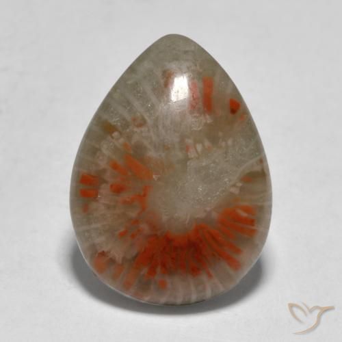 5.31ct Naturel Multicolore Corail, En forme de poire, Translucide