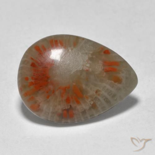 Corail Multicolore naturelle En forme de poire, 5.31 ct, Translucide