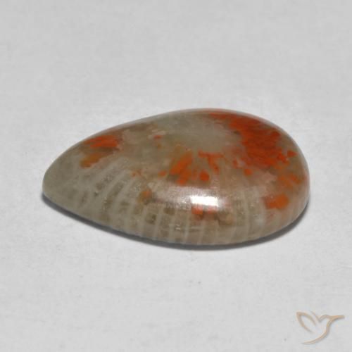 Corail Multicolore naturelle En forme de poire, 5.31 ct, Translucide
