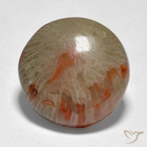 9.21ct Naturel Multicolore corail, Tour, Translucide