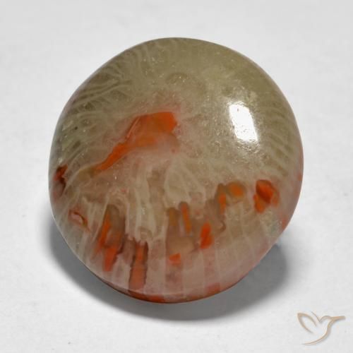 Corail Multicolore naturelle Tour, 9.21 ct, Translucide