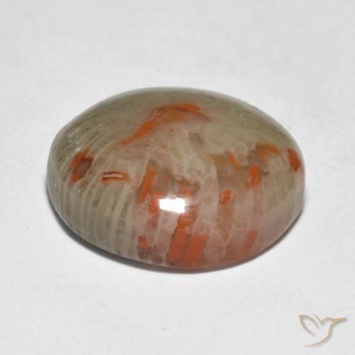 Corail Multicolore naturelle Tour, 9.21 ct, Translucide