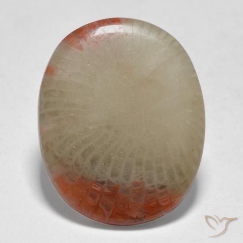 5.98ct Naturel Multicolore Corail, ovale, Translucide