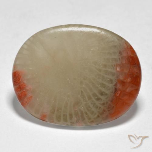 Corail Multicolore naturelle ovale, 5.98 ct, Translucide