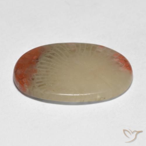 Corail Multicolore naturelle ovale, 5.98 ct, Translucide