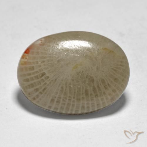 Corail Multicolore naturelle ovale, 7.50 ct, Translucide