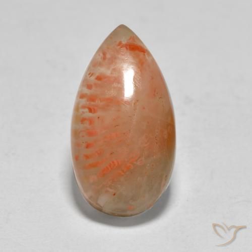 5.79ct Naturel Multicolore Corail, En forme de poire, Translucide
