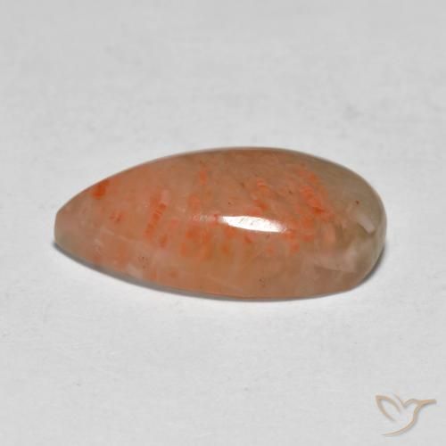 Corail Multicolore naturelle En forme de poire, 5.79 ct, Translucide