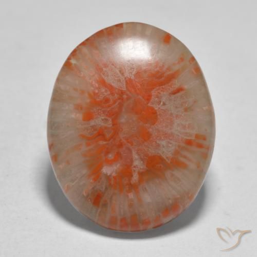 11.21ct Naturel Multicolore Corail, ovale, Translucide