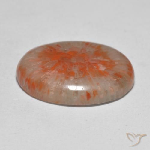 Corail Multicolore naturelle ovale, 11.21 ct, Translucide