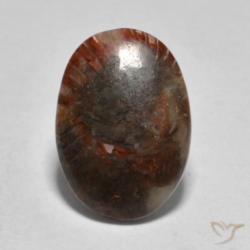 3.57ct Naturel Multicolore Corail, ovale, Translucide