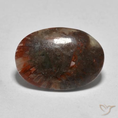 Corail Multicolore naturelle ovale, 3.57 ct, Translucide