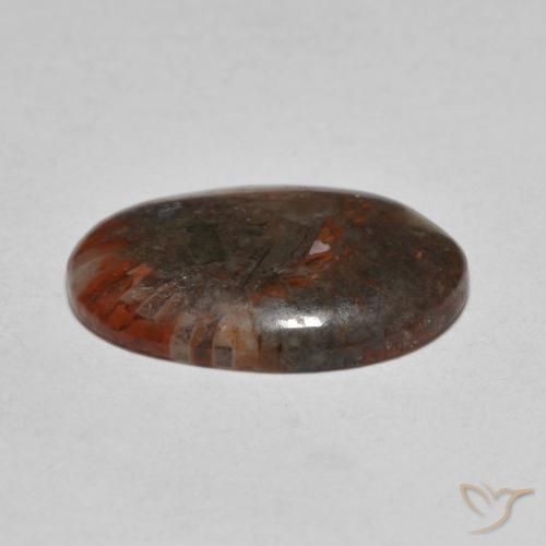 Corail Multicolore naturelle ovale, 3.57 ct, Translucide