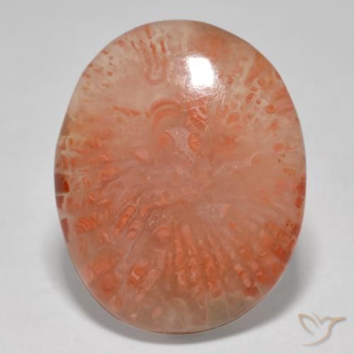 12.52ct Naturel Multicolore Corail, ovale, Translucide