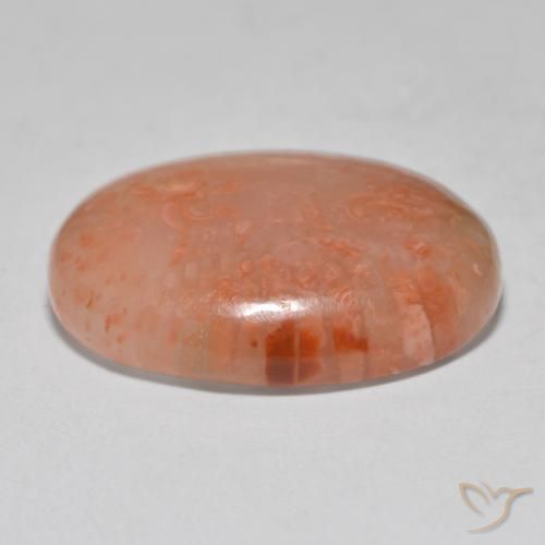 Corail Multicolore naturelle ovale, 12.52 ct, Translucide
