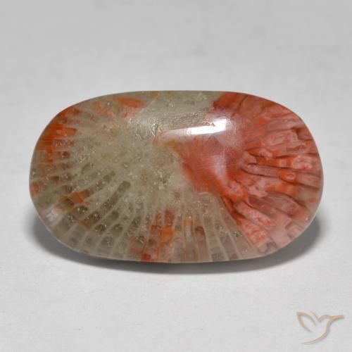 7.97ct Naturel Multicolore Corail, ovale, Translucide