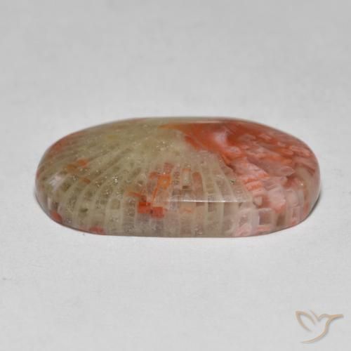 Corail Multicolore naturelle ovale, 7.97 ct, Translucide