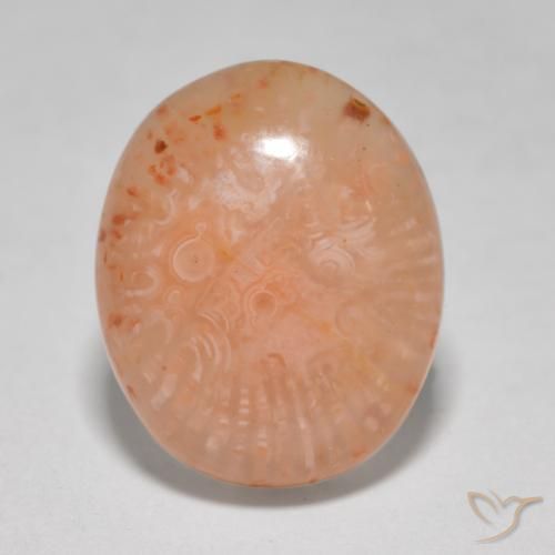 8.68ct Naturel Multicolore Corail, ovale, Translucide