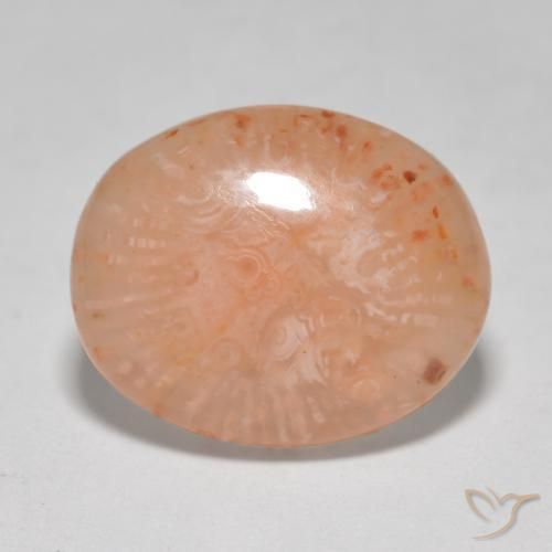 Corail Multicolore naturelle ovale, 8.68 ct, Translucide