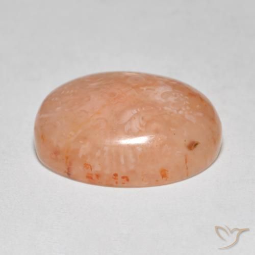 Corail Multicolore naturelle ovale, 8.68 ct, Translucide