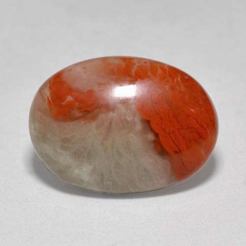 Corail multicolore naturelle coupe ovale, 4,58 ct, translucide